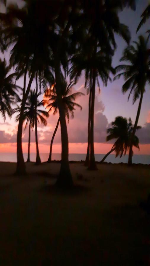 Mystic Maldives Mathiveri Retreat Ngoại thất bức ảnh